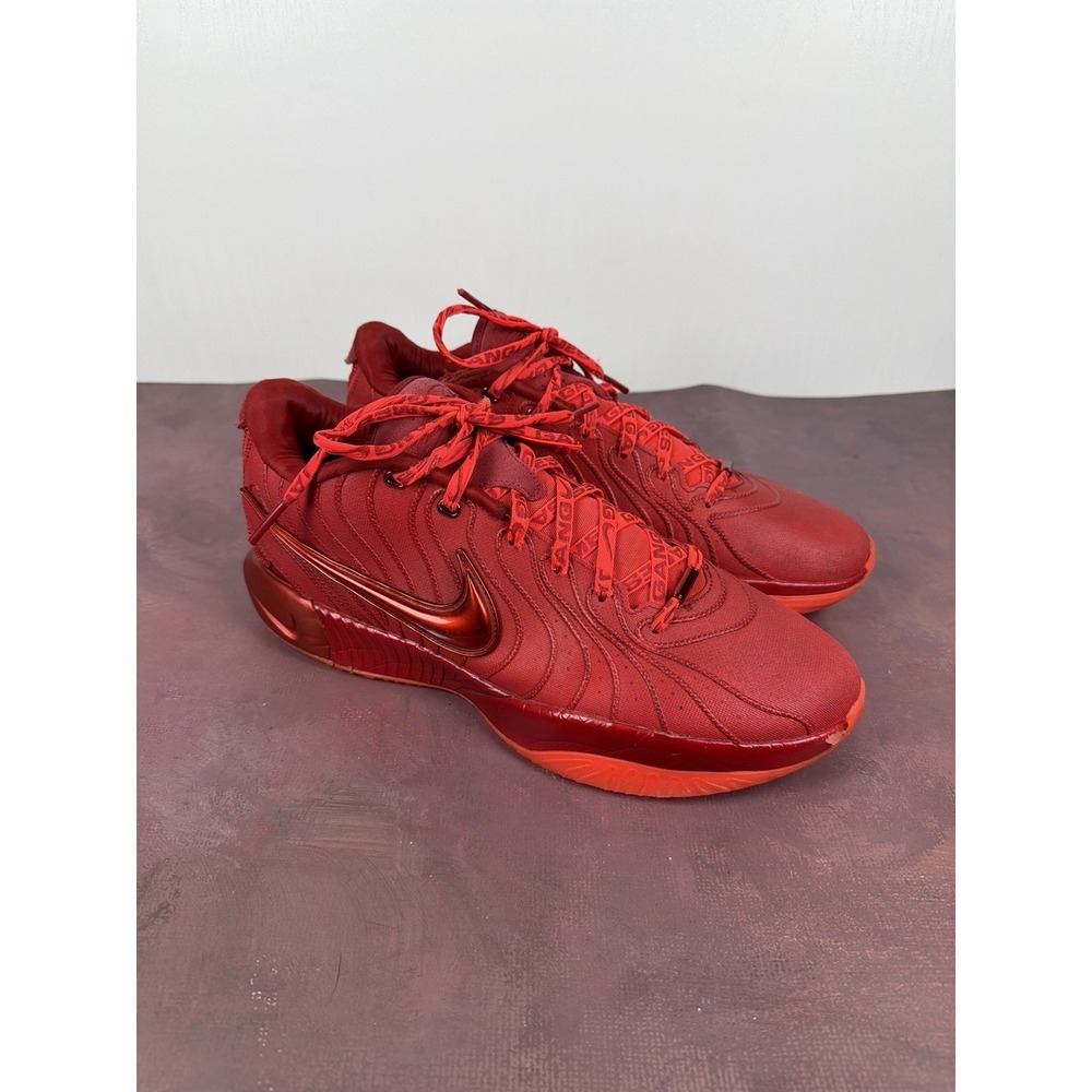 Size 13- Nike LeBron XXI 21 James Gang HF5951-600